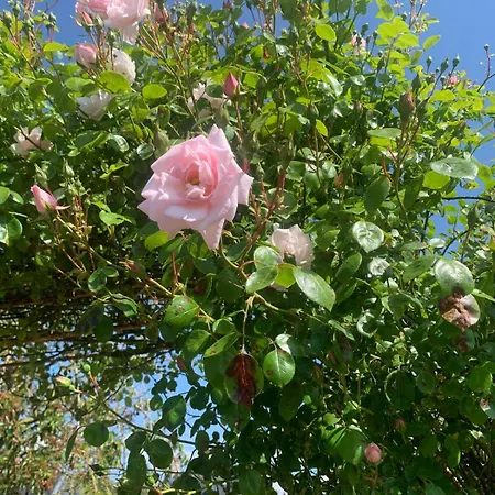 Apartamento Cosy-baie De Somme & Gare *