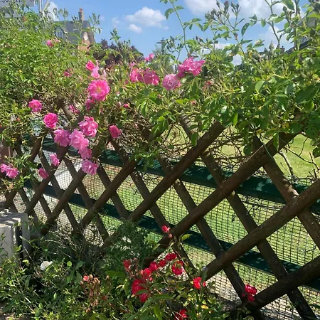 Les Roses - Plain-pied - Calme - Wifi Gratuit