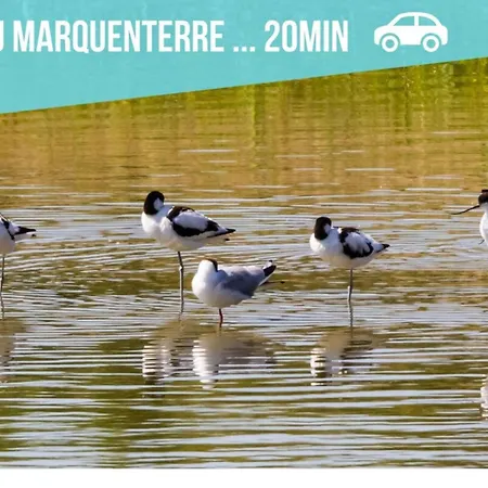 Les Roses - Plain-pied - Calme - Wifi Gratuit *