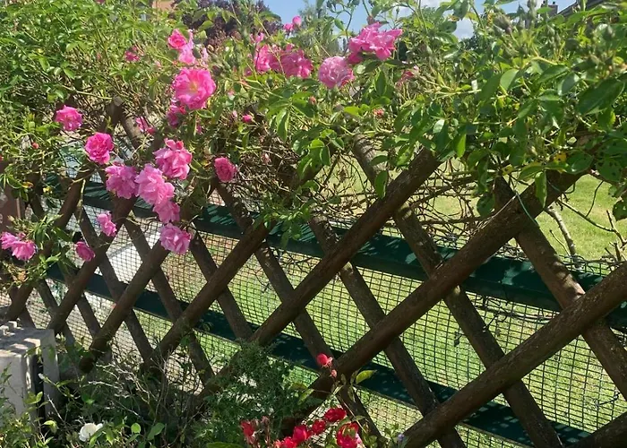 Les Roses-plain-pied-st Valery & Le Crotoy A 10min