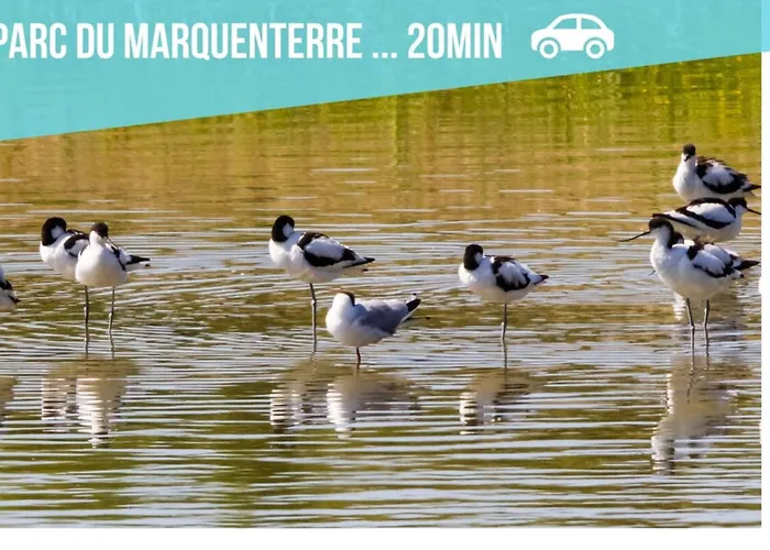 Les Roses-plain-pied-st Valery & Le Crotoy A 10min *